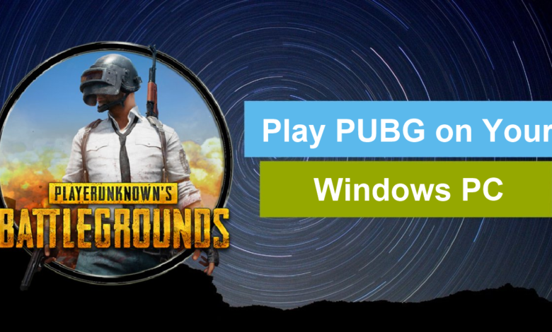 Play PUBG on Windows PC