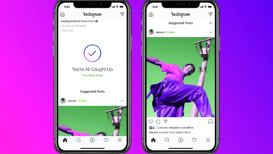 Embed Instagram Feed