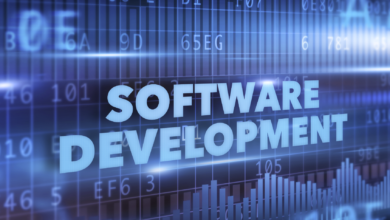 Software Development