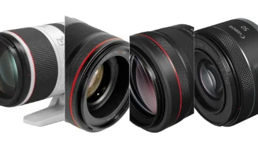 The Top 6 Canon Lenses for 2023