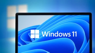 Windows 11