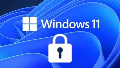 Windows 11 Security