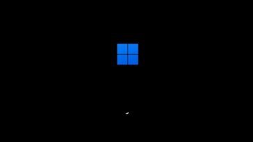 Black Screen Issues in Windows 11
